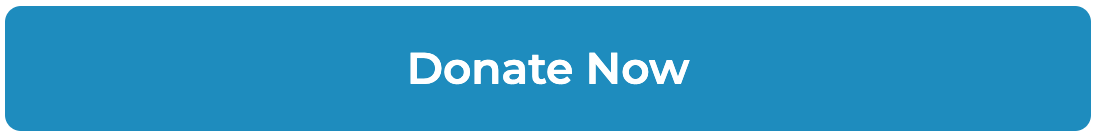 Donate Now button